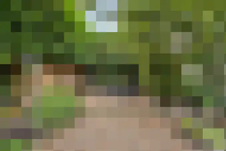 Poelakkerweg 4 Lunteren thumbnail 36