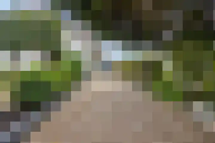 Poelakkerweg 4 Lunteren thumbnail 4