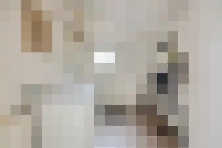 Poelakkerweg 4 Lunteren thumbnail 40
