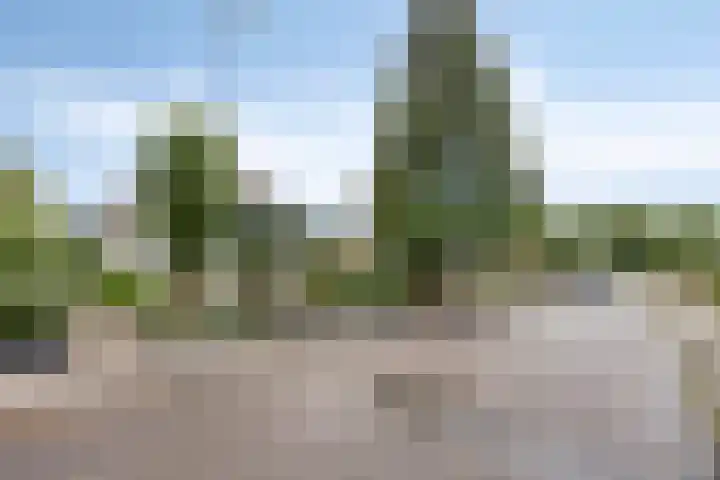 Poelakkerweg 4 Lunteren thumbnail 42