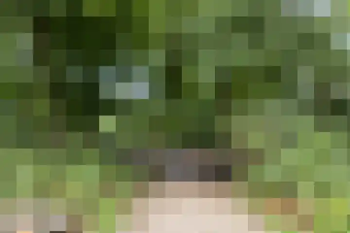 Poelakkerweg 4 Lunteren thumbnail 43