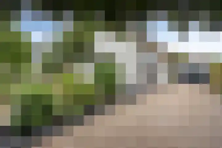 Poelakkerweg 4 Lunteren thumbnail 6