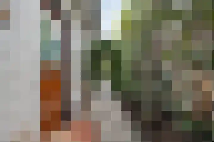 Poelakkerweg 4 Lunteren thumbnail 7