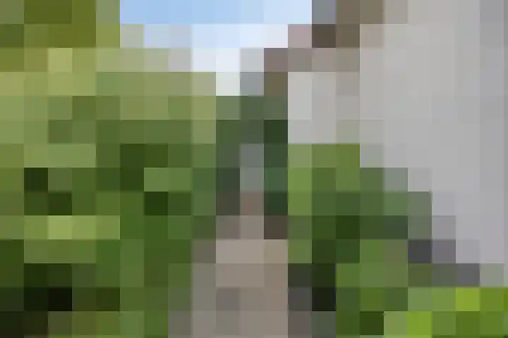 Poelakkerweg 4 Lunteren thumbnail 8