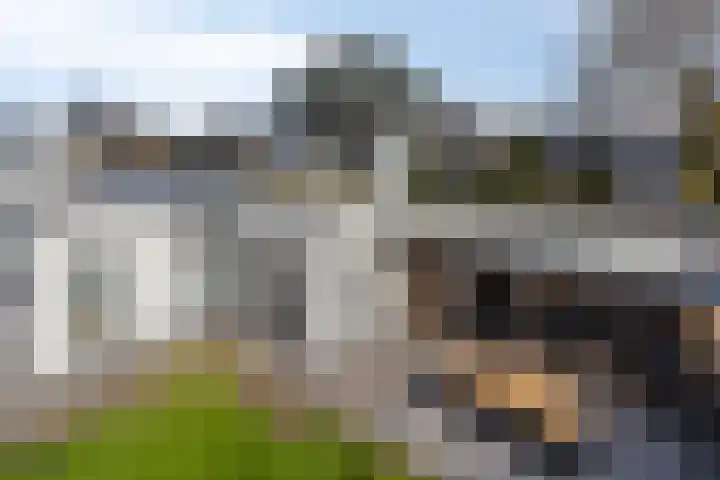 Poelakkerweg 8 Lunteren thumbnail 56