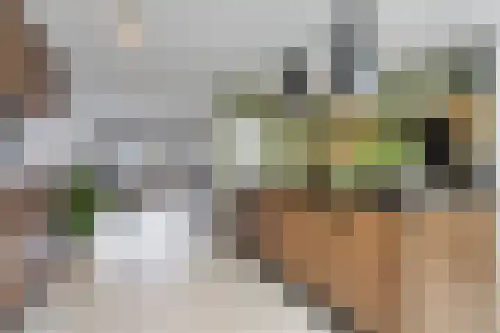 Poelderhof 41 Budel-Schoot thumbnail 11