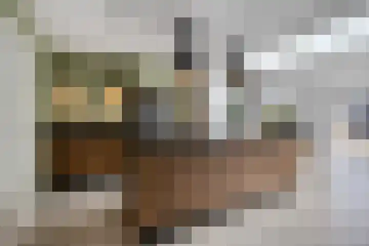 Poelderhof 41 Budel-Schoot thumbnail 12