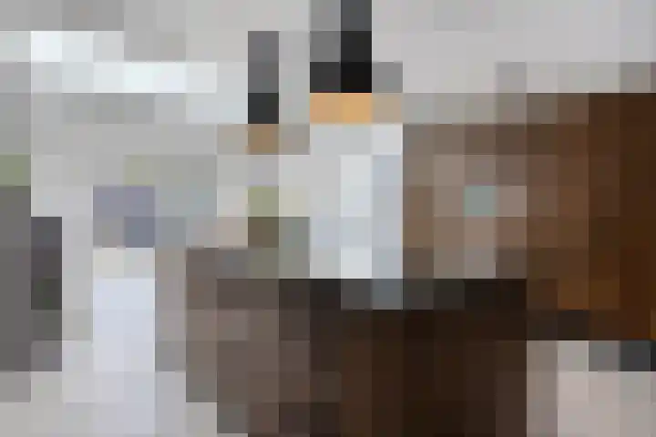 Poelderhof 41 Budel-Schoot thumbnail 13