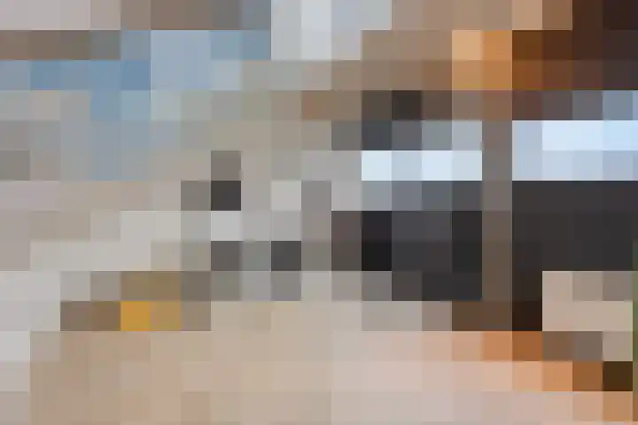 Poelderhof 41 Budel-Schoot thumbnail 32