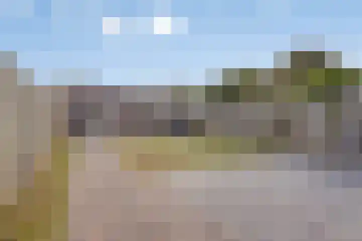 Poelderhof 41 Budel-Schoot thumbnail 33