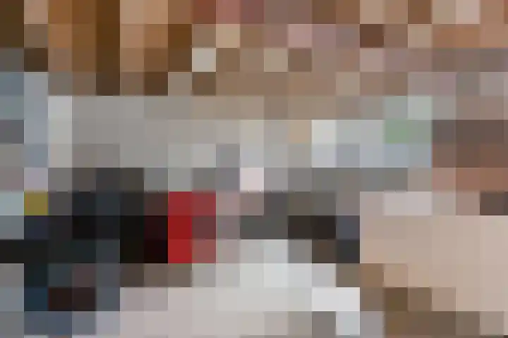 Poelderhof 41 Budel-Schoot thumbnail 36