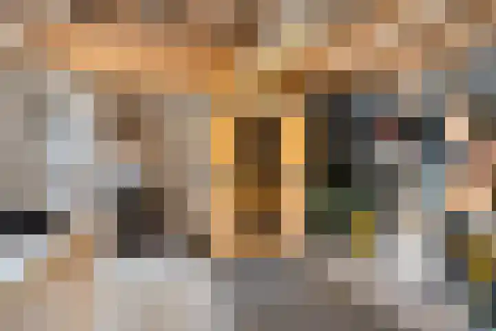 Poelderhof 41 Budel-Schoot thumbnail 37