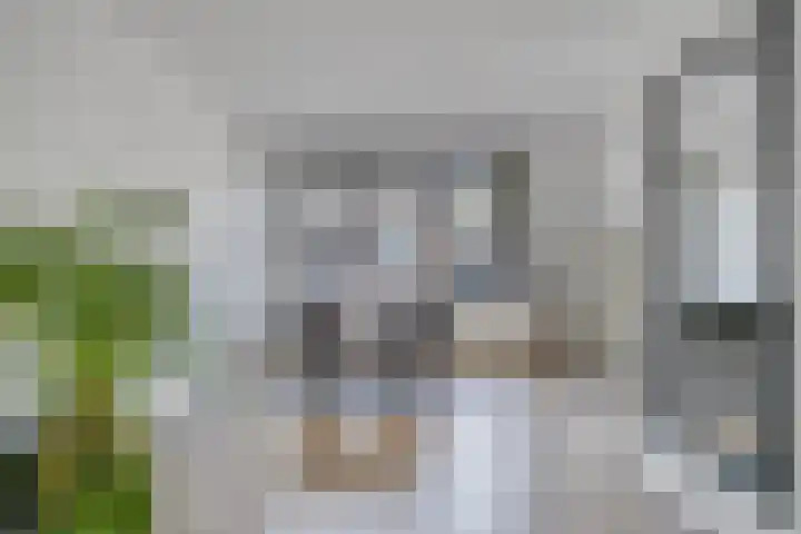 Poelderhof 41 Budel-Schoot thumbnail 7