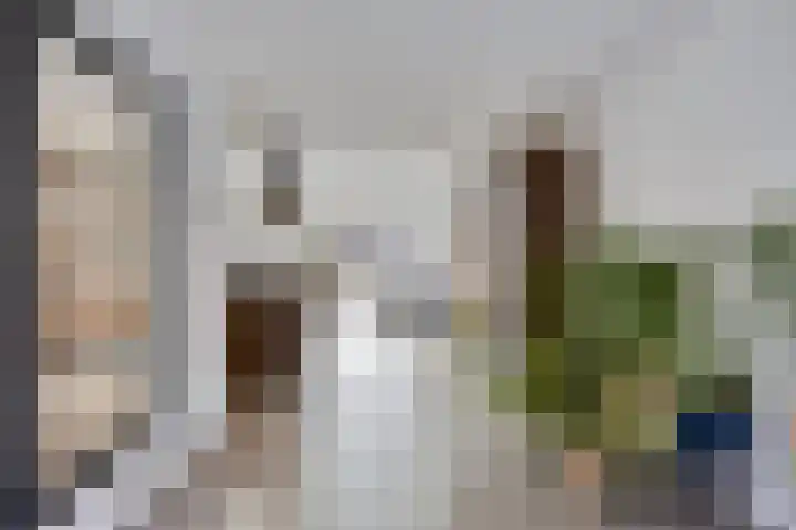 Poelderhof 41 Budel-Schoot thumbnail 9