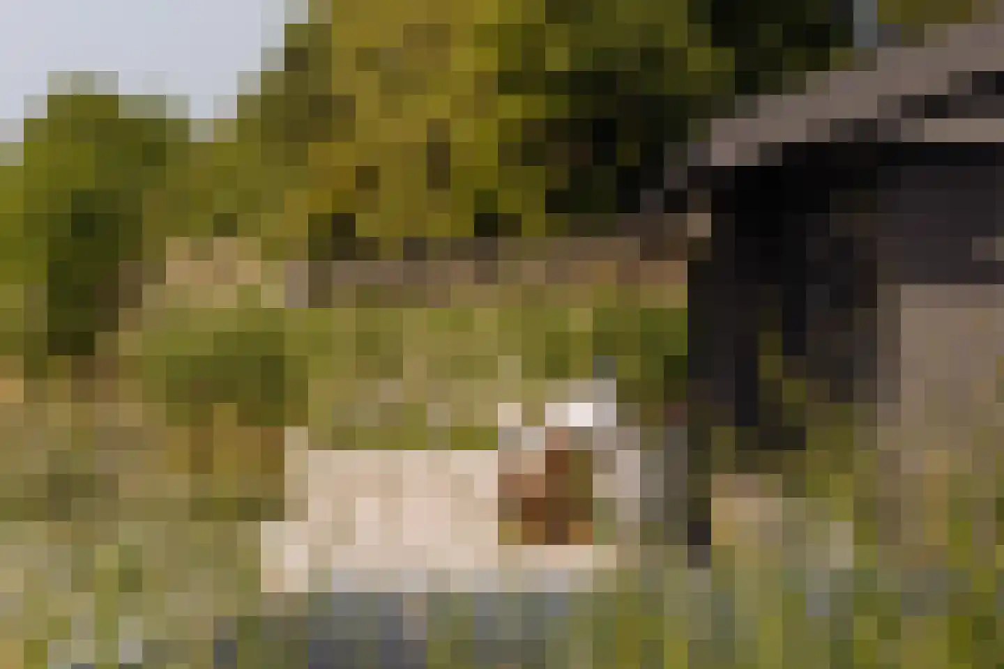Poeldijk 1 b Rijpwetering thumbnail 10