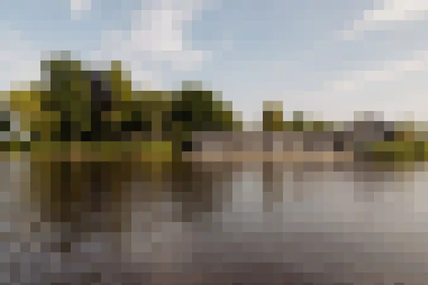 Poeldijk 1 b Rijpwetering thumbnail 11