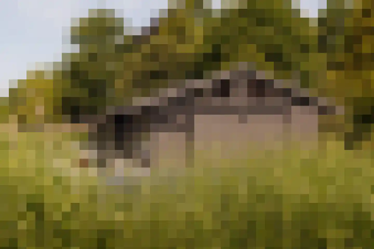 Poeldijk 1 b Rijpwetering thumbnail 23