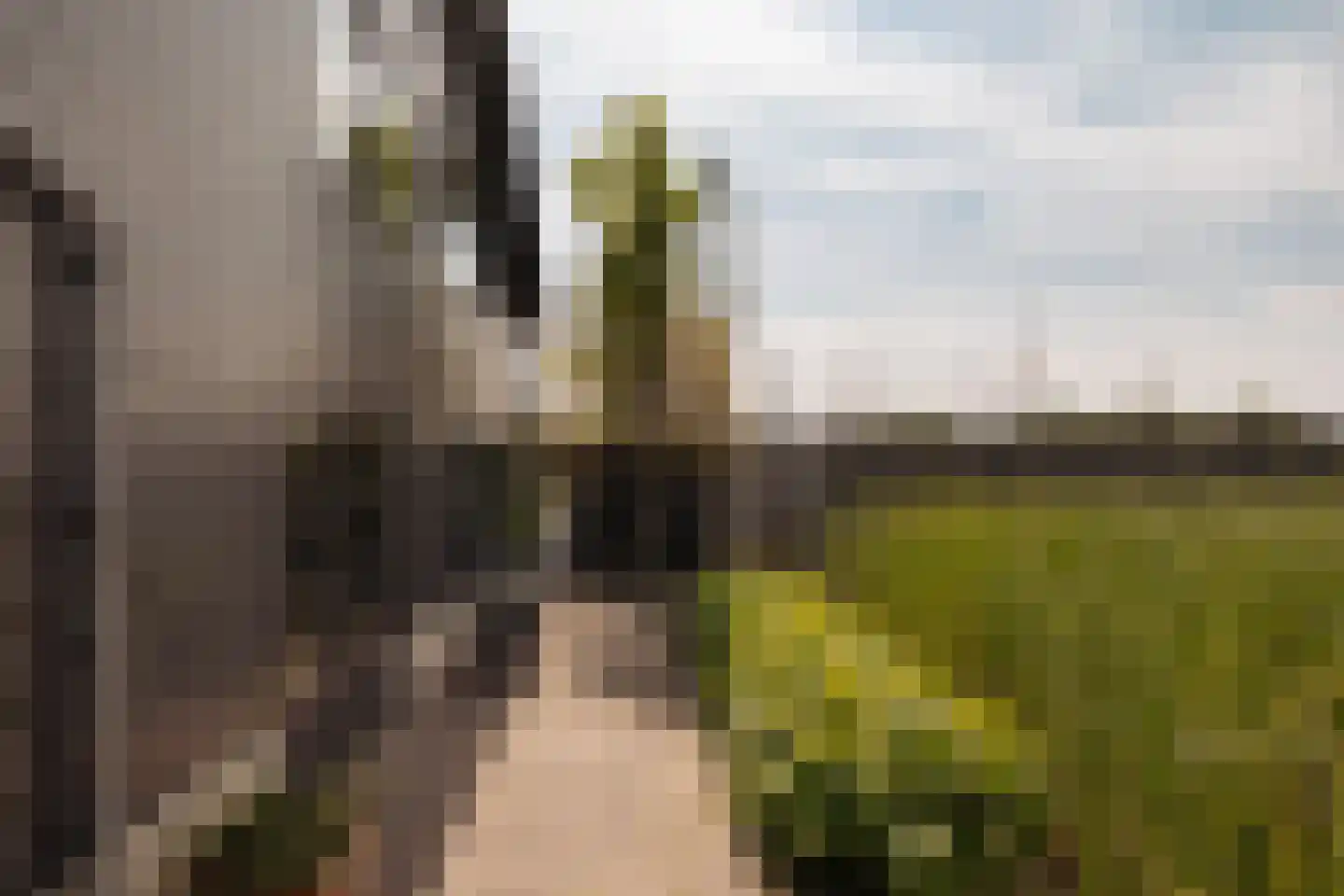 Poeldijk 1 b Rijpwetering thumbnail 25