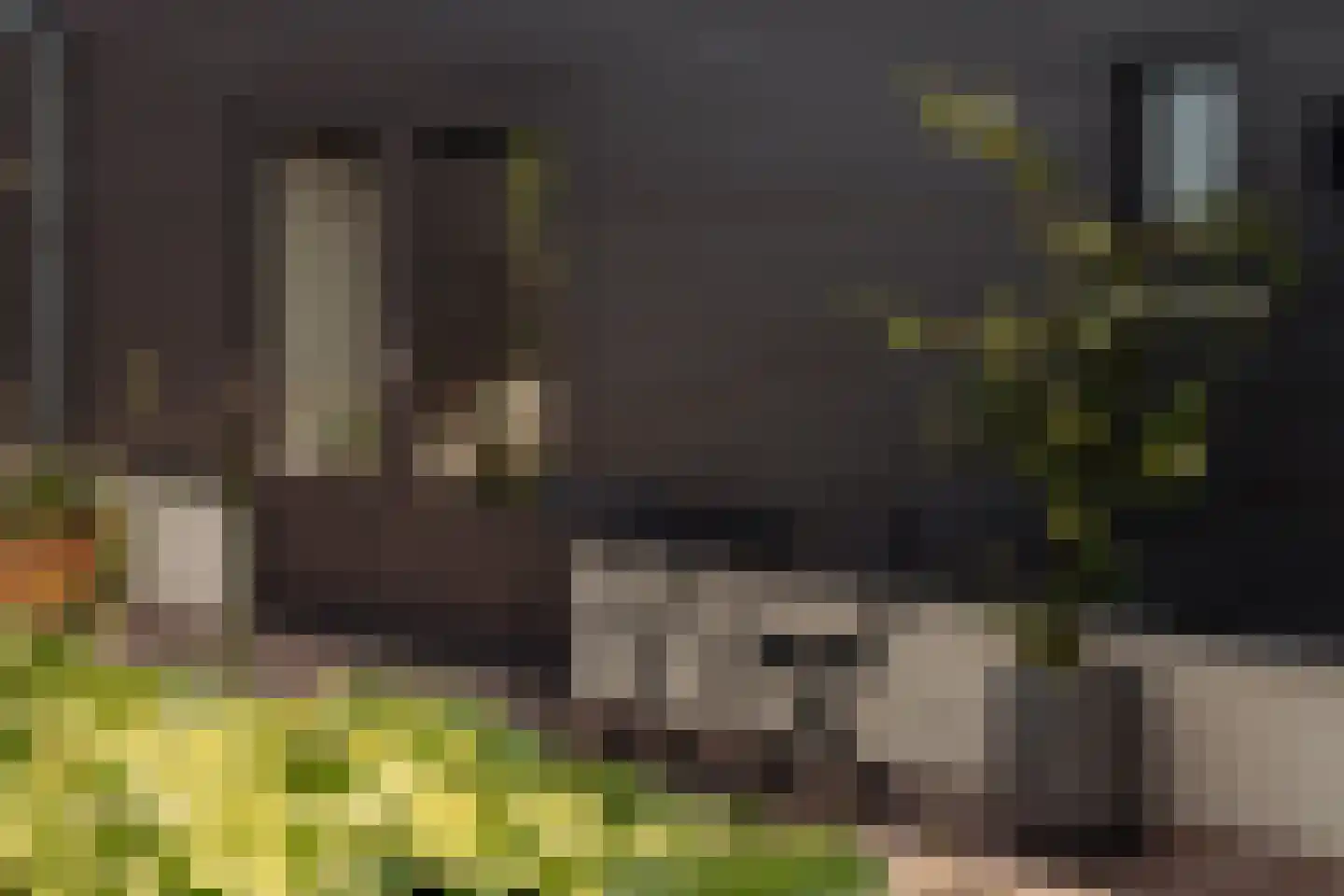 Poeldijk 1 b Rijpwetering thumbnail 26
