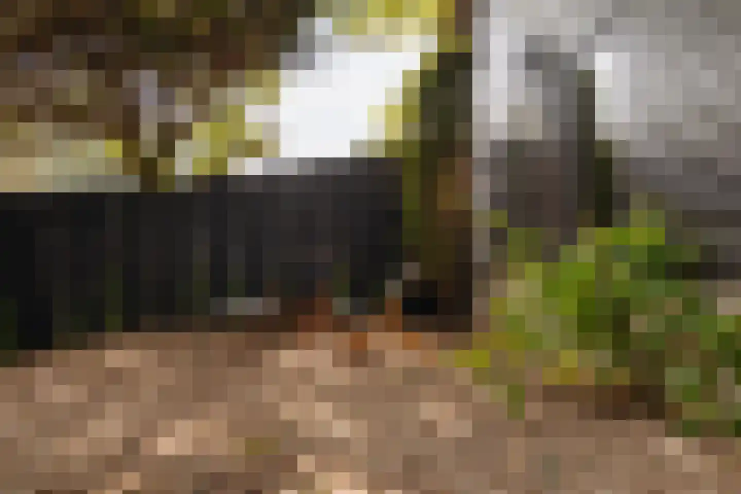 Poeldijk 1 b Rijpwetering thumbnail 27