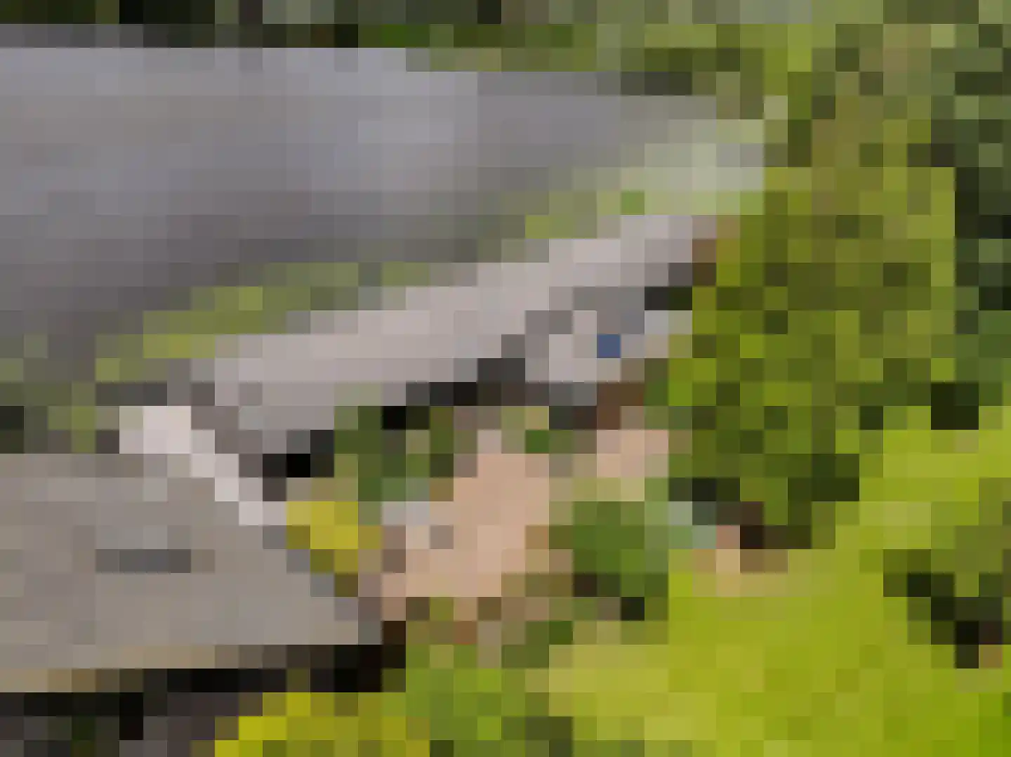 Poeldijk 1 b Rijpwetering thumbnail 32