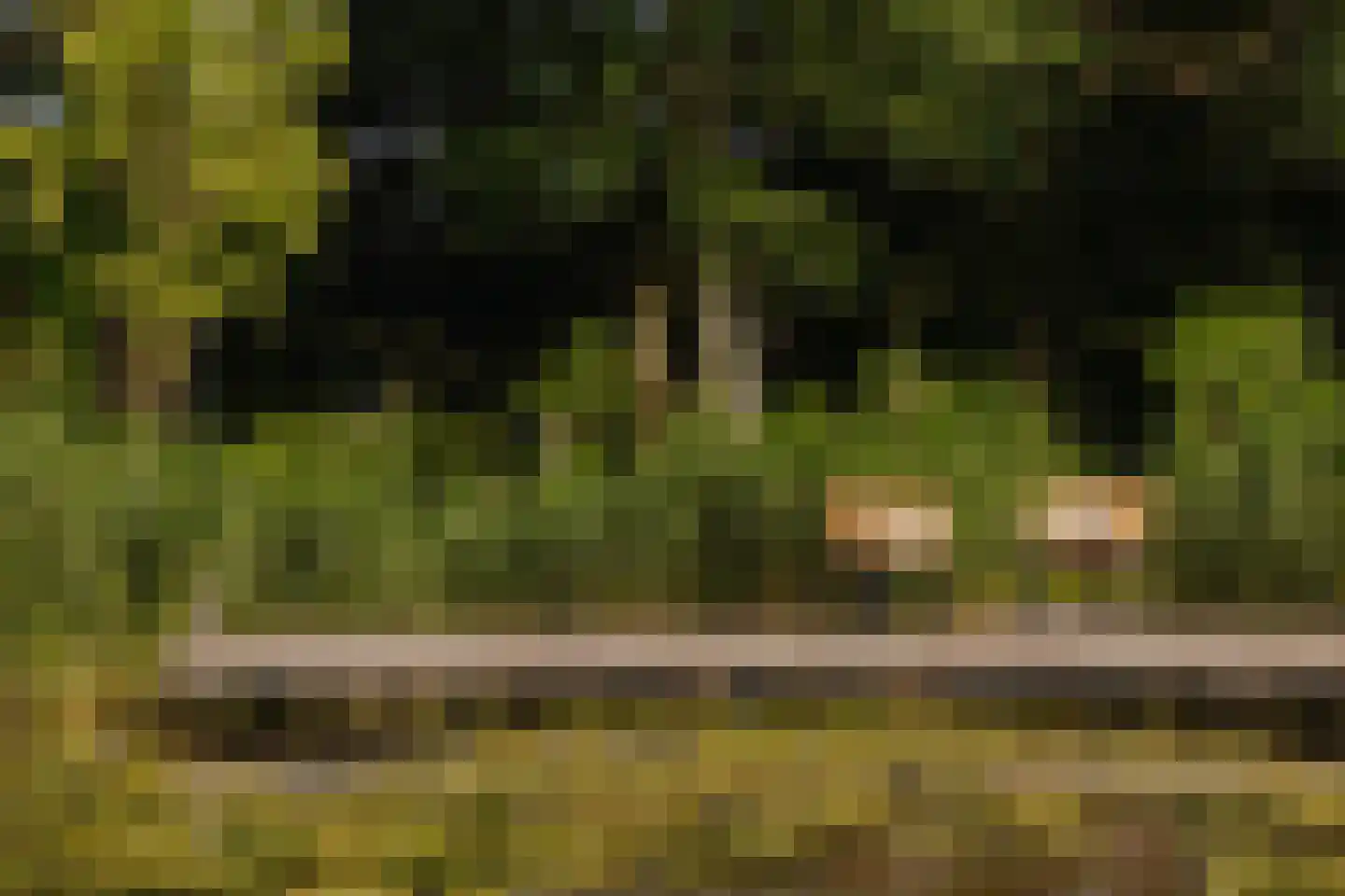 Poeldijk 1 b Rijpwetering thumbnail 39