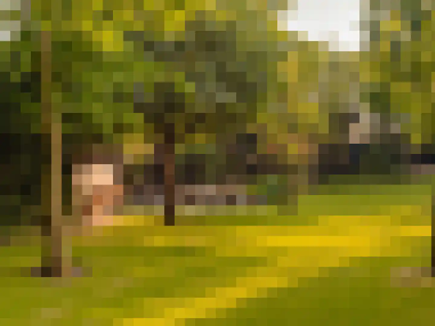 Poeldijk 1 b Rijpwetering thumbnail 40