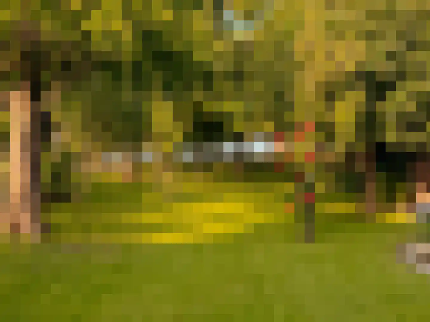 Poeldijk 1 b Rijpwetering thumbnail 41