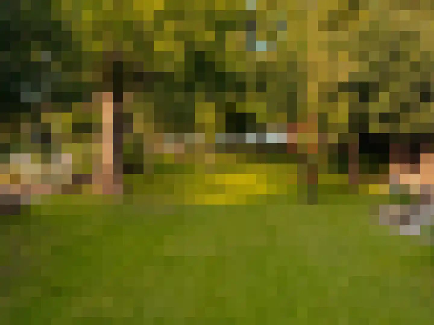 Poeldijk 1 b Rijpwetering thumbnail 42