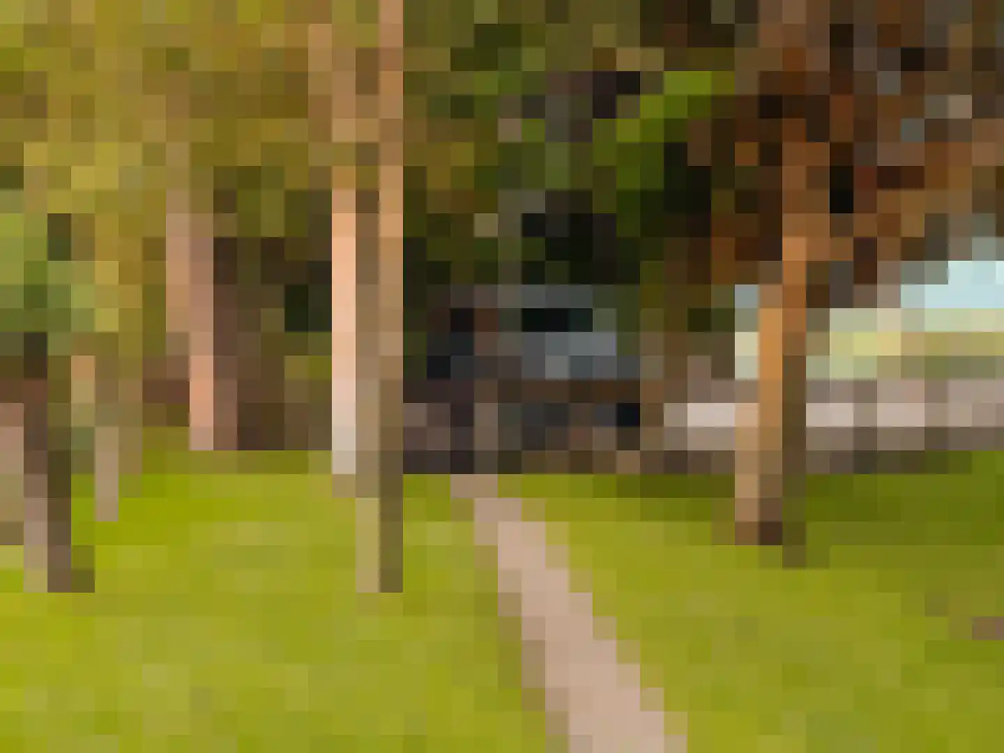 Poeldijk 1 b Rijpwetering thumbnail 43