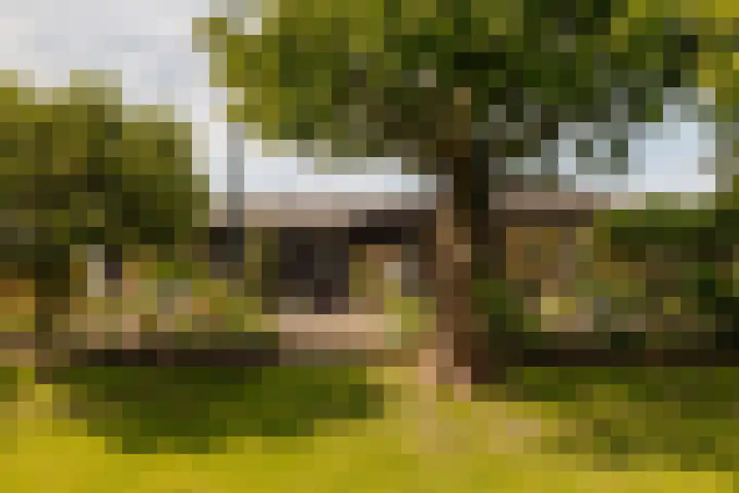 Poeldijk 1 b Rijpwetering thumbnail 44