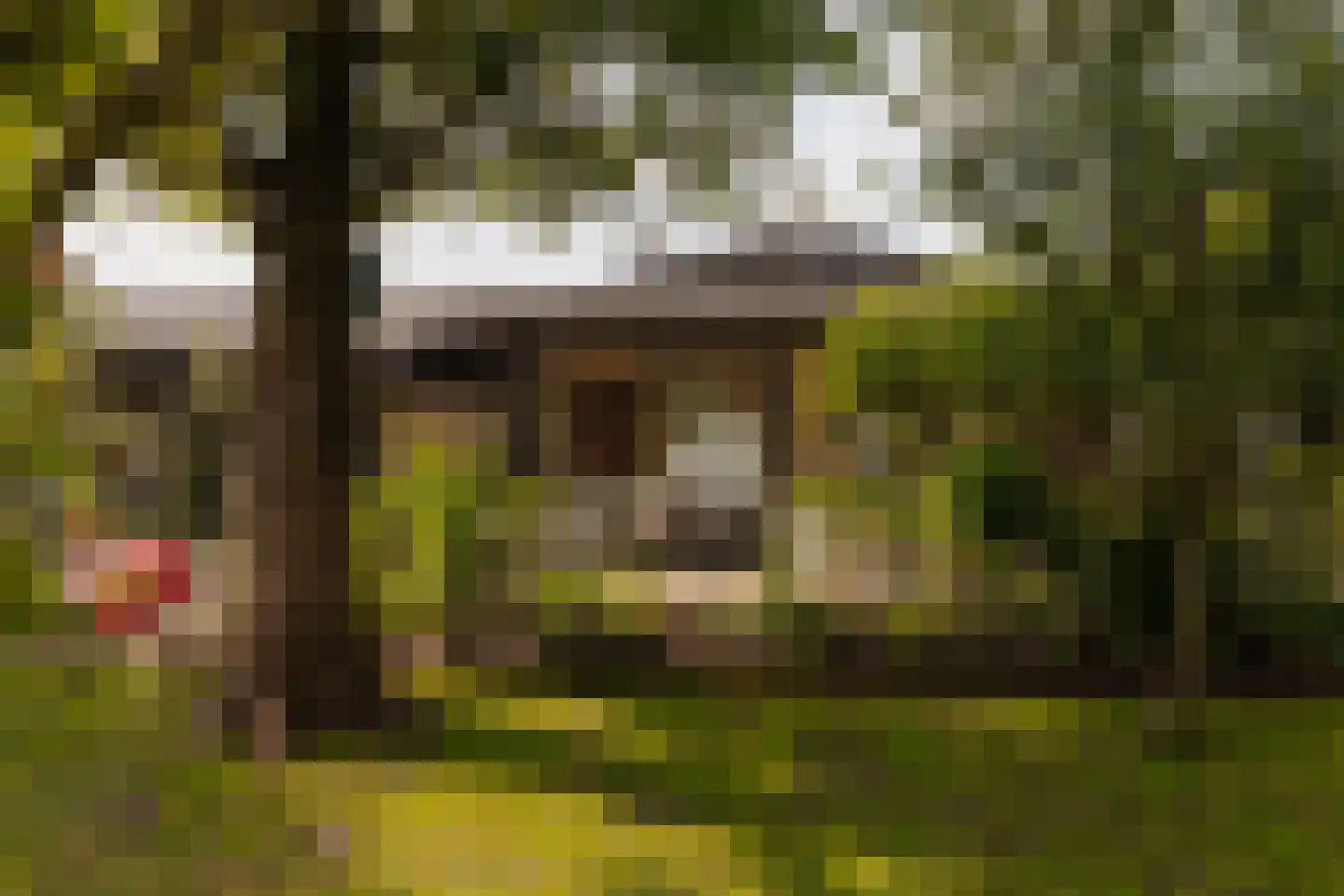 Poeldijk 1 b Rijpwetering thumbnail 45