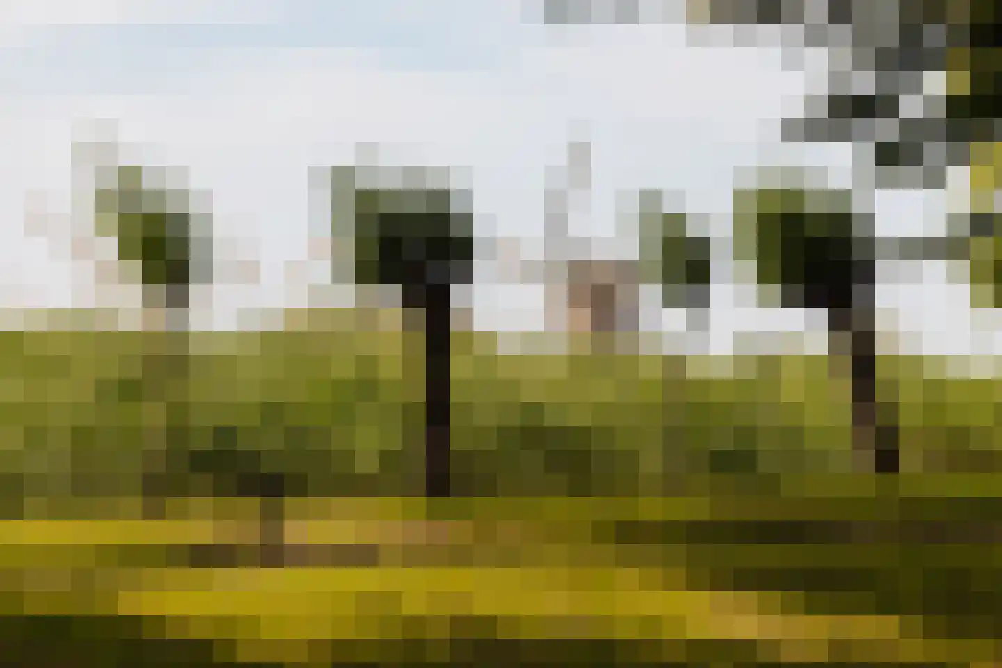 Poeldijk 1 b Rijpwetering thumbnail 5