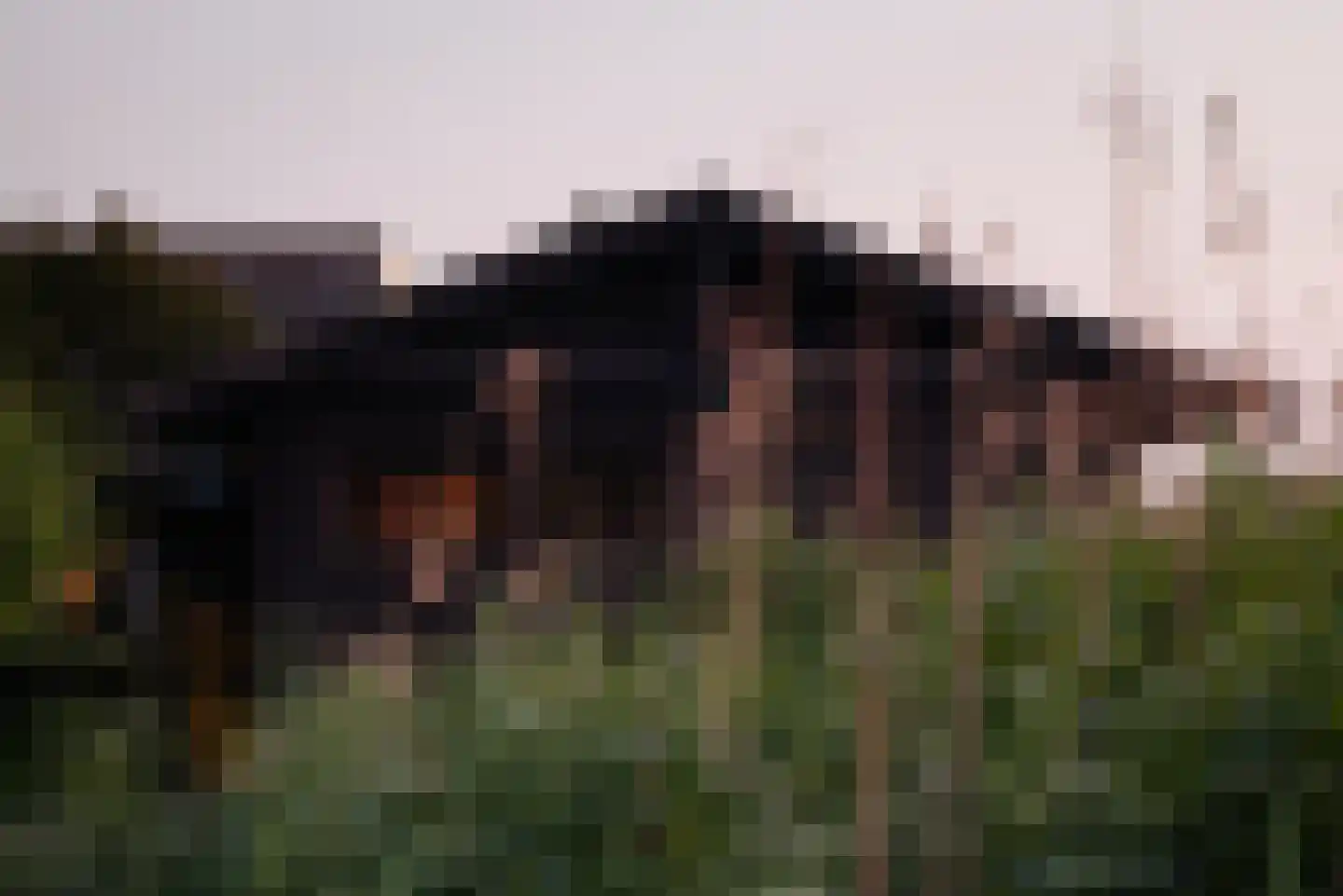 Poeldijk 1 b Rijpwetering thumbnail 54