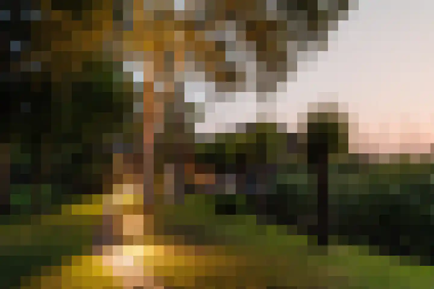 Poeldijk 1 b Rijpwetering thumbnail 58