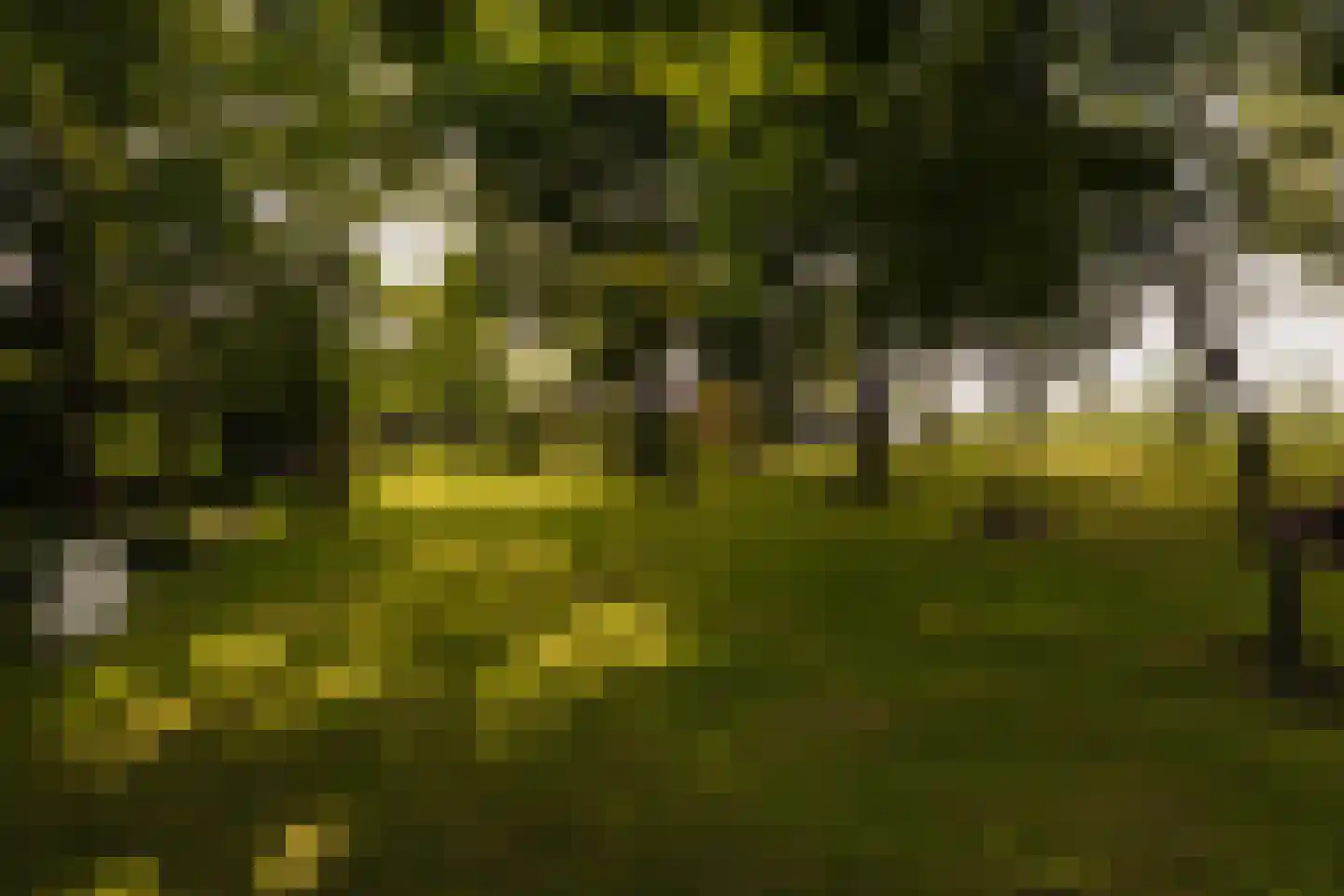 Poeldijk 1 b Rijpwetering thumbnail 6