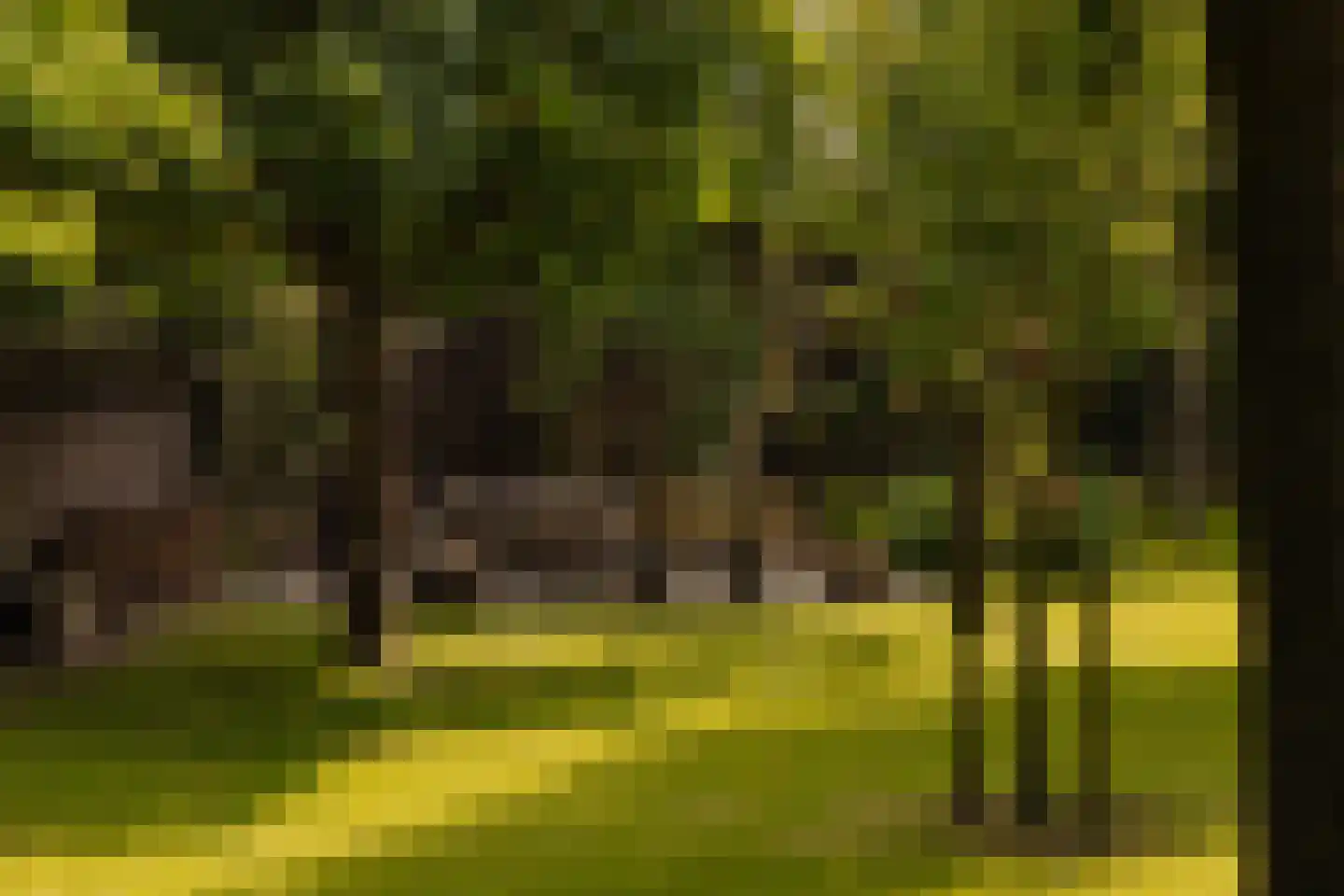 Poeldijk 1 b Rijpwetering thumbnail 7