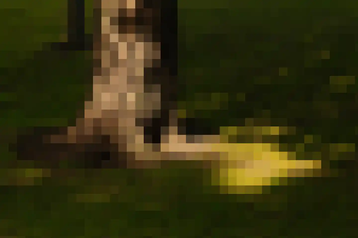 Poeldijk 1 b Rijpwetering thumbnail 8