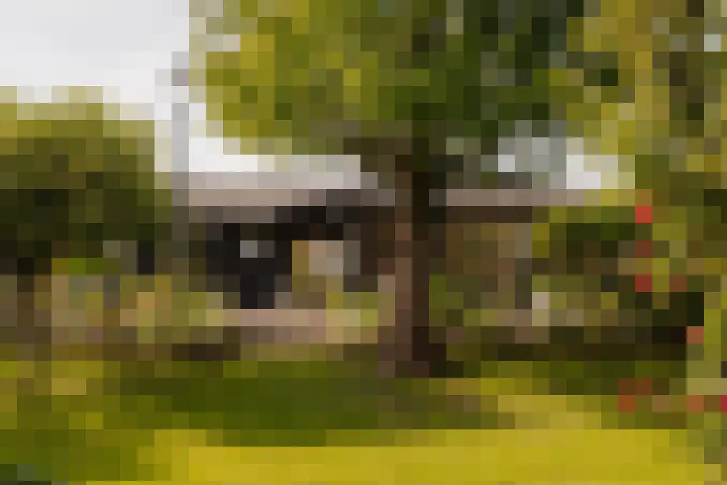 Poeldijk 1 b Rijpwetering thumbnail 9