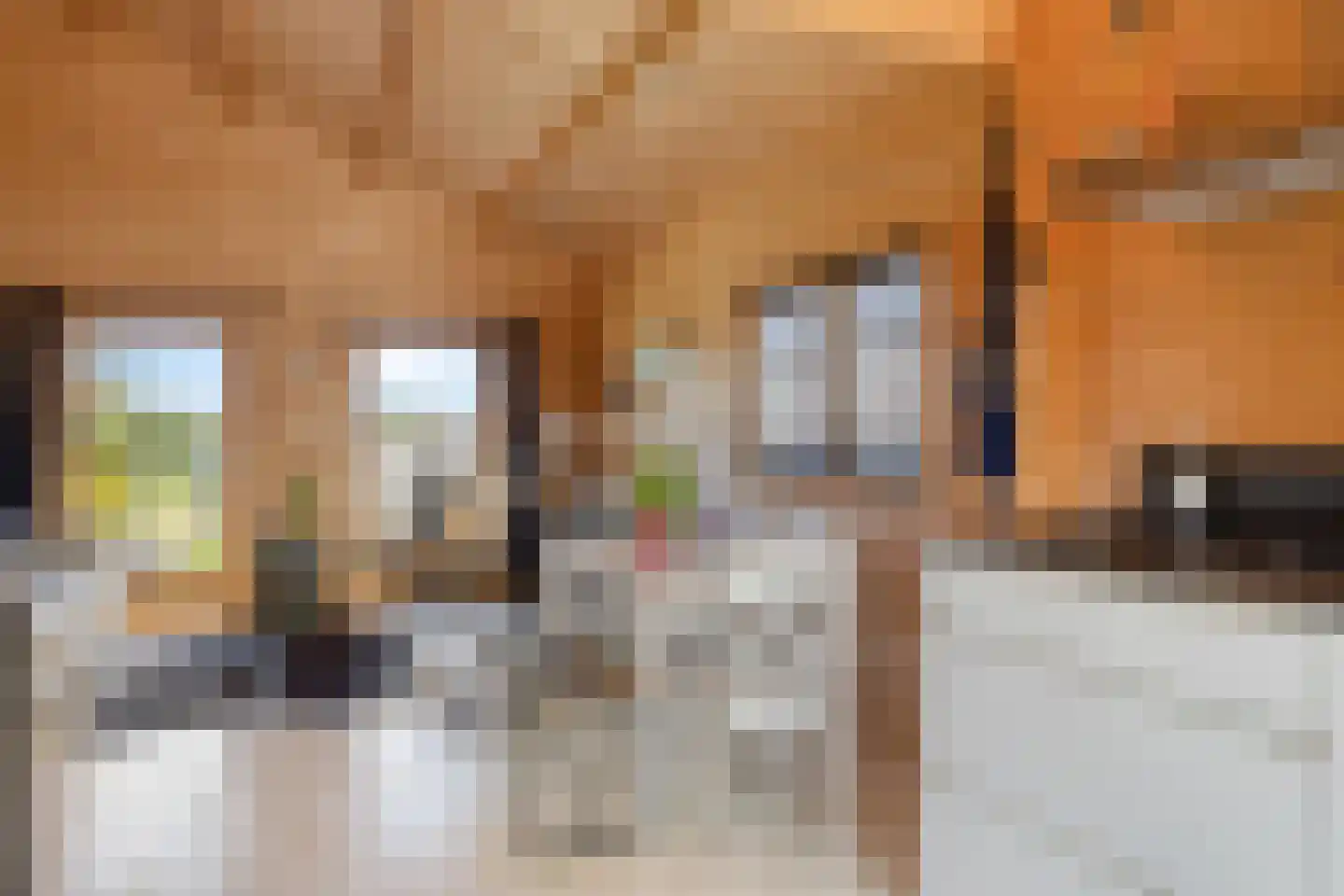 Poeldijk 13 Z2 Rijpwetering thumbnail 12