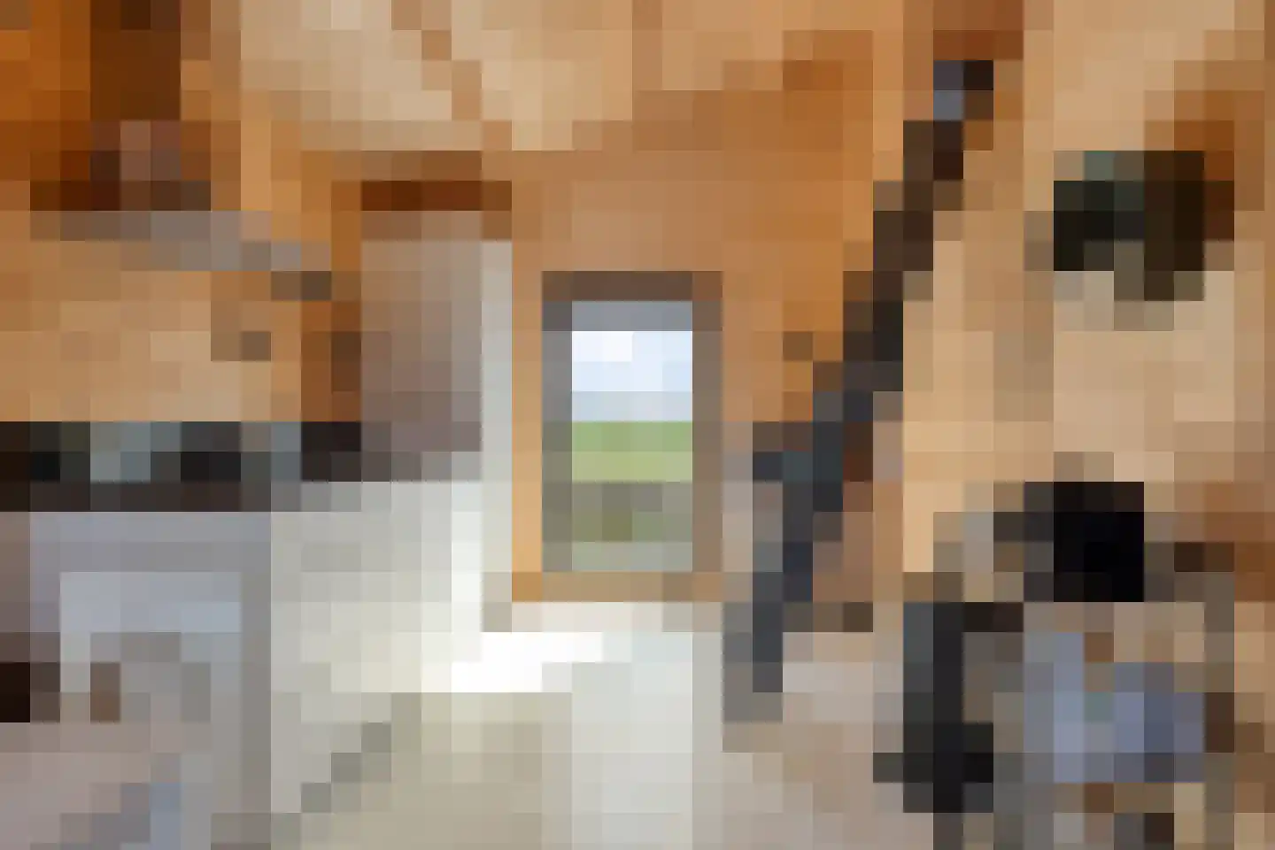 Poeldijk 13 Z2 Rijpwetering thumbnail 13