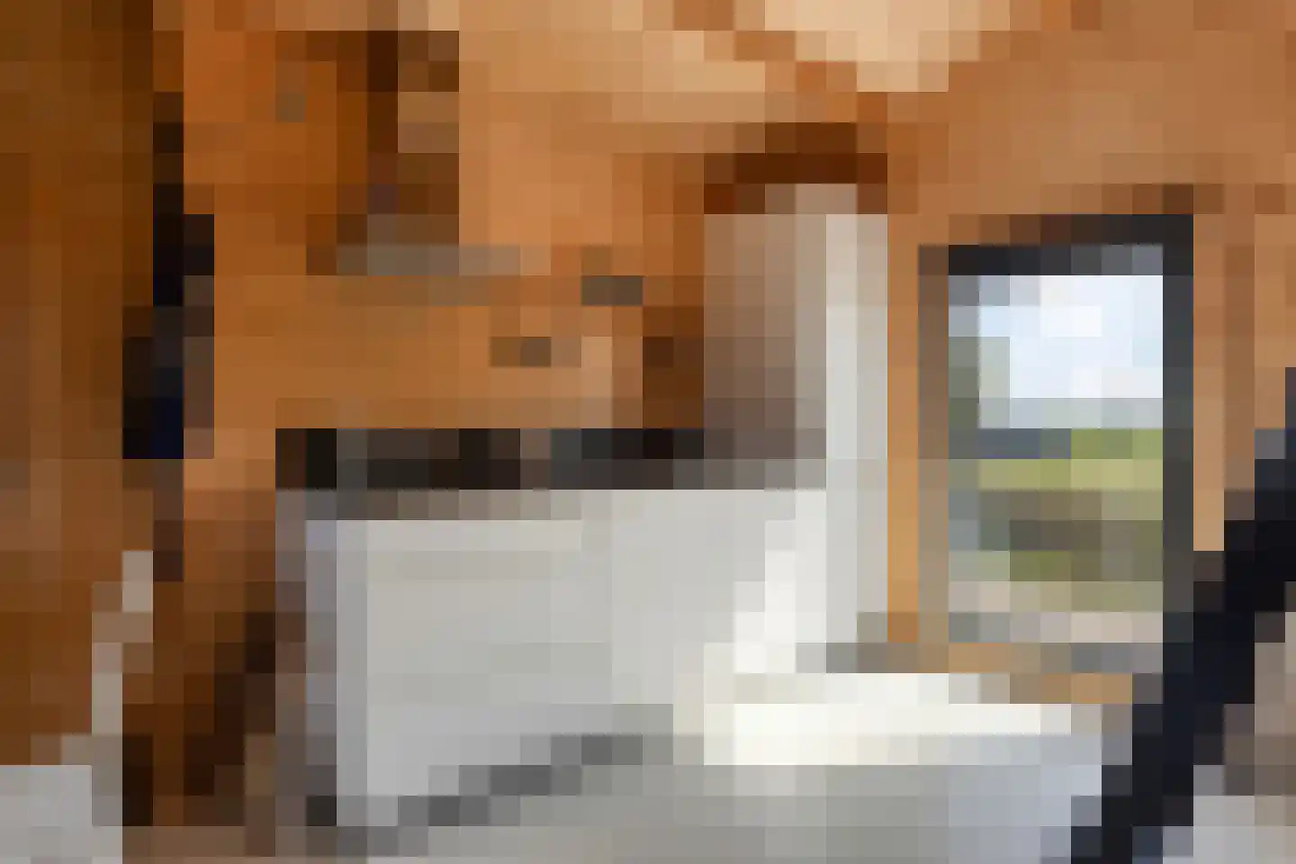 Poeldijk 13 Z2 Rijpwetering thumbnail 14