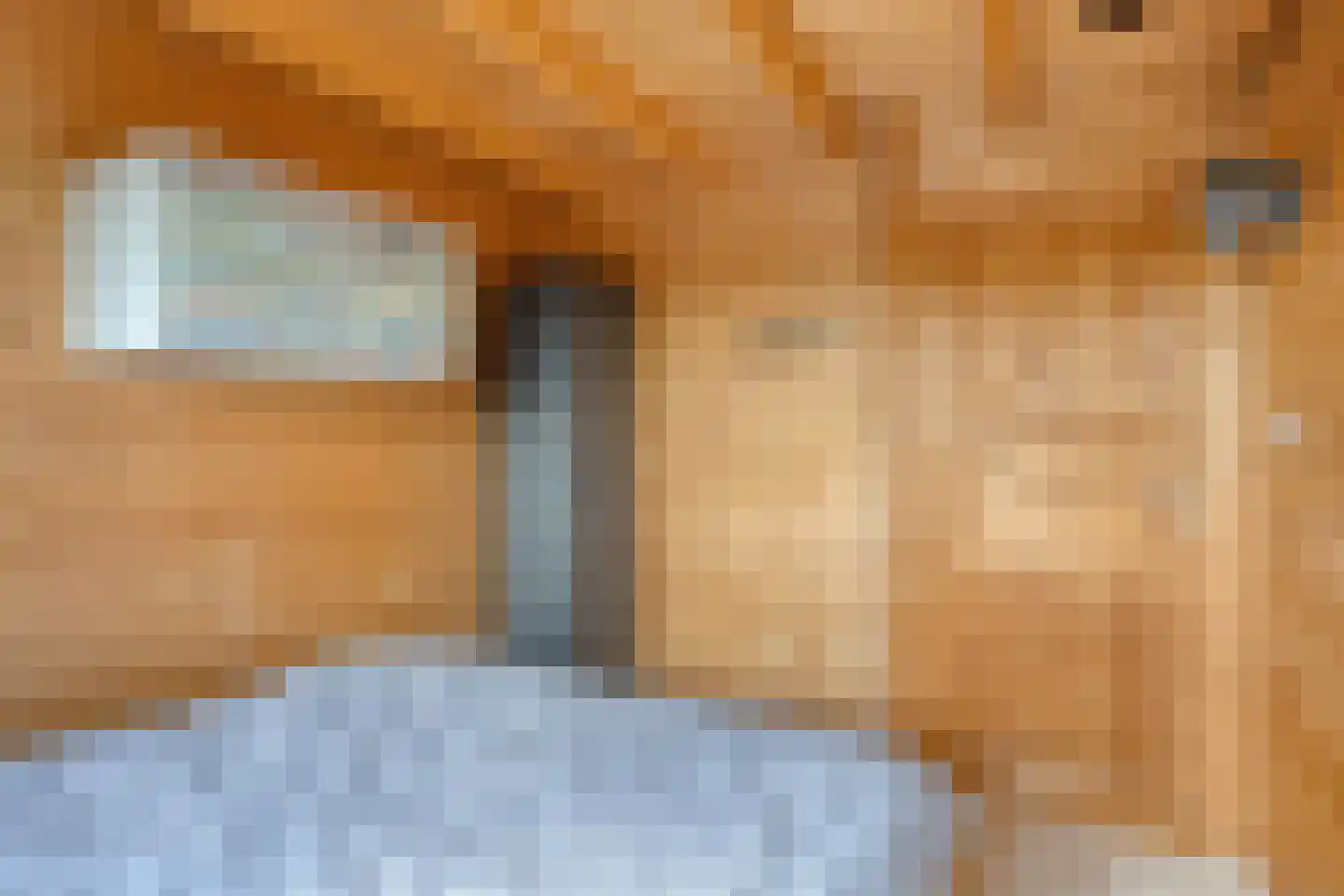 Poeldijk 13 Z2 Rijpwetering thumbnail 18