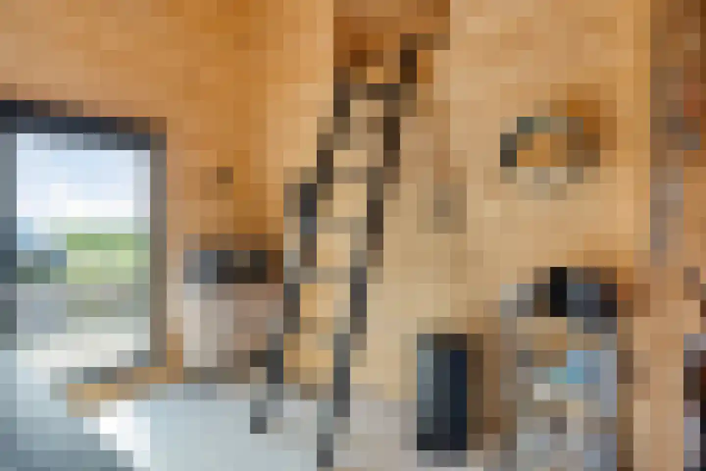 Poeldijk 13 Z2 Rijpwetering thumbnail 22