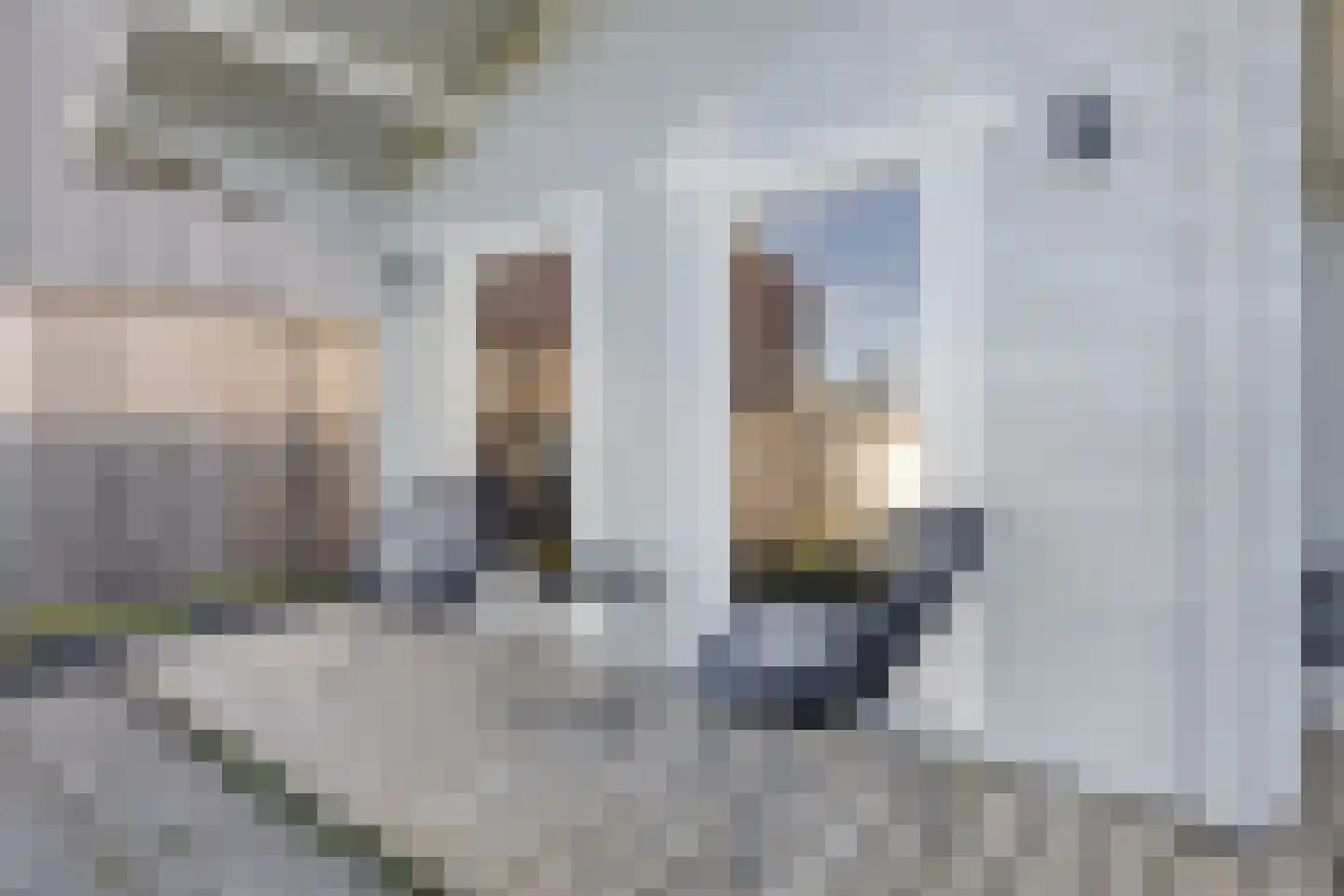 Poeldijk 13 Z2 Rijpwetering thumbnail 35