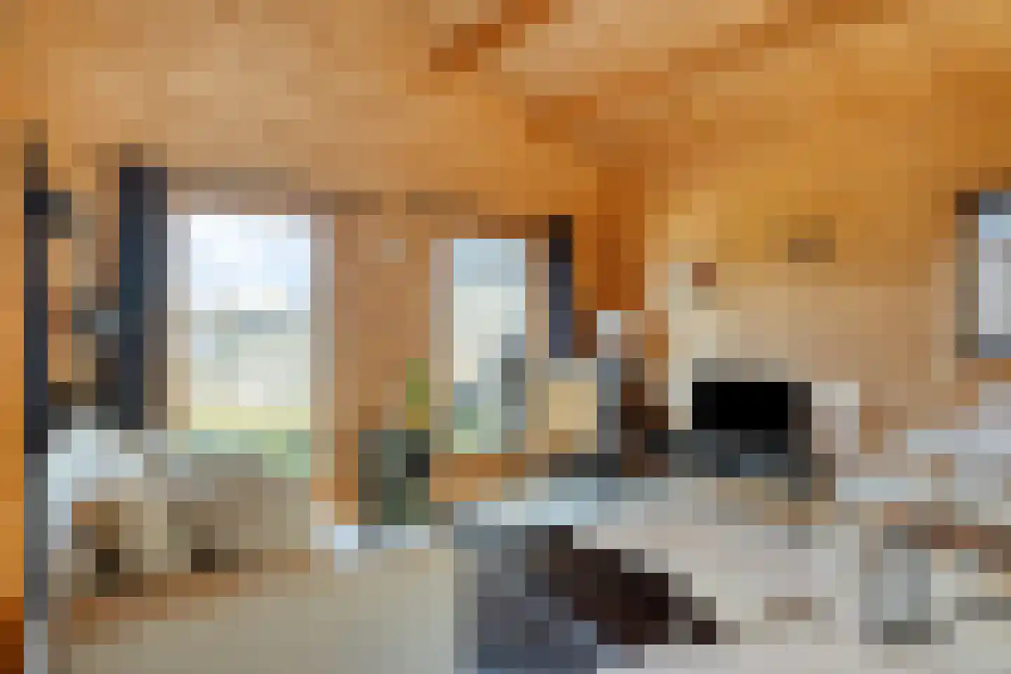 Poeldijk 13 Z2 Rijpwetering thumbnail 8