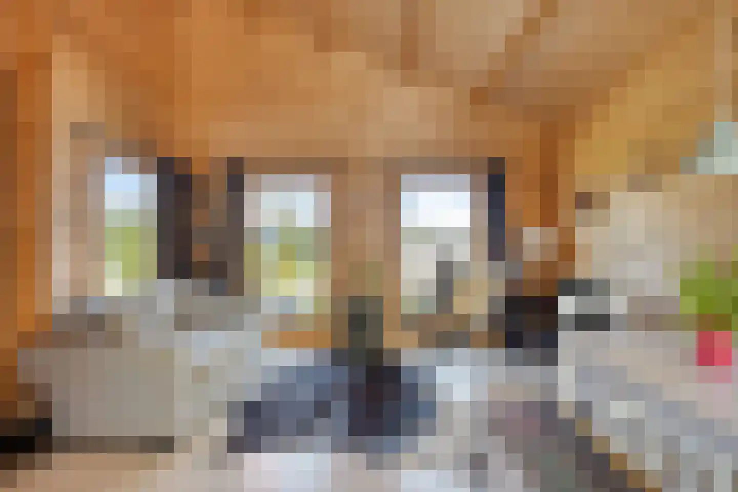 Poeldijk 13 Z2 Rijpwetering thumbnail 9