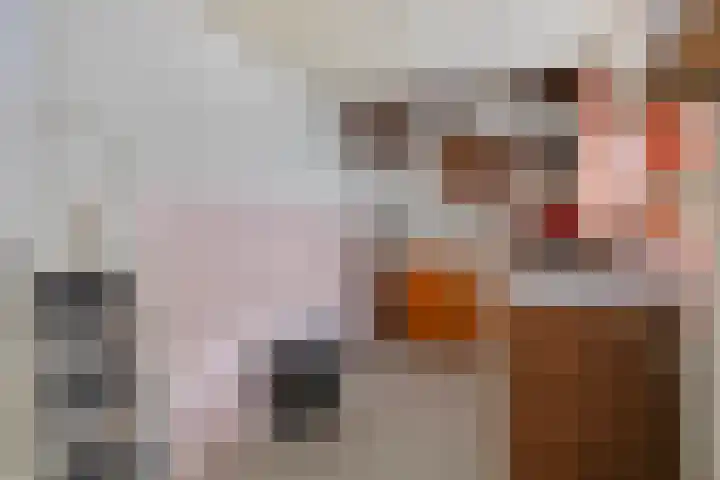 Poeldijk 21 Sas van Gent thumbnail 10