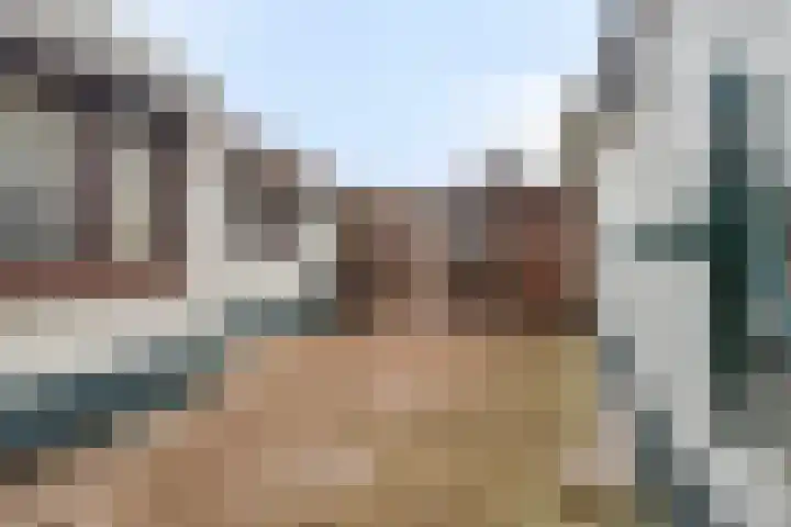 Poeldijk 21 Sas van Gent thumbnail 19