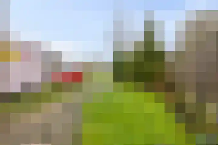 Poeldijk 21 Sas van Gent thumbnail 21